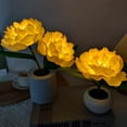 thumbnail image 6 of LINLIN Desk Lamp LED Peony Flower Night Light Artificial Flower Lamp with Vase,Table Lamp Ornaments Living Atmosphere Light Room Desktop Decor for Home Table Centerpieces,Night Lamp,Gift, 6 of 9