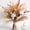 Style 4, variant on Homaryx Dried Flower Bouquet with Pampas Grass, Cotton Stems, Bunny Tails, Eucalyptus, Lavender & Wheat, Rustic Boho Home Decor for Wedding, Fall & Gifts