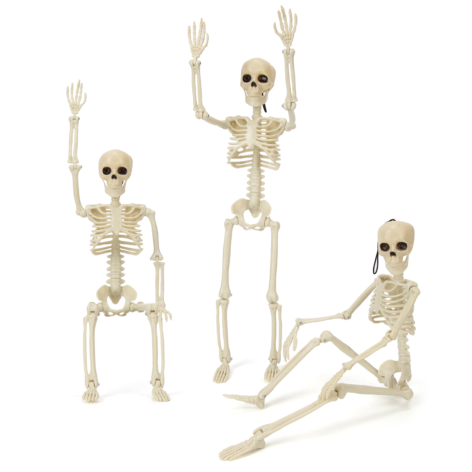Mulanimo 3 Pack Halloween Skeletons Decor, Full Body Posable Skeletons with Movable Joints