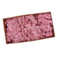 thumbnail image 3 of facefd Natural Dried Reindeer Moss Treated Immortal moss Crafts DIY Floral Decor Pink, 3 of 5