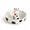 White Cow, variant on Cute Squirrel Candy Bowl Ceramic Dish (green Squirrel)