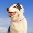 thumbnail image 3 of Real Split Leather Studded Pet Dog Collar 1Pack, 3 of 5