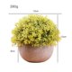 thumbnail image 1 of ZHAOCHENG Planta artificial en maceta, juego de 1 planta decorativa de plástico Bonsai, ideal para oficina, balcón, centro de mesa decorativo amarillo, 1 of 4