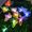 1PC Multiple Color, variant on 1PC 6-Head LED Solar Fiber Optic Butterfly Lights, 2 Modes Outdoor Idea Landscape Lighting For Garden,Pathways, Lawn, Patio,Yard