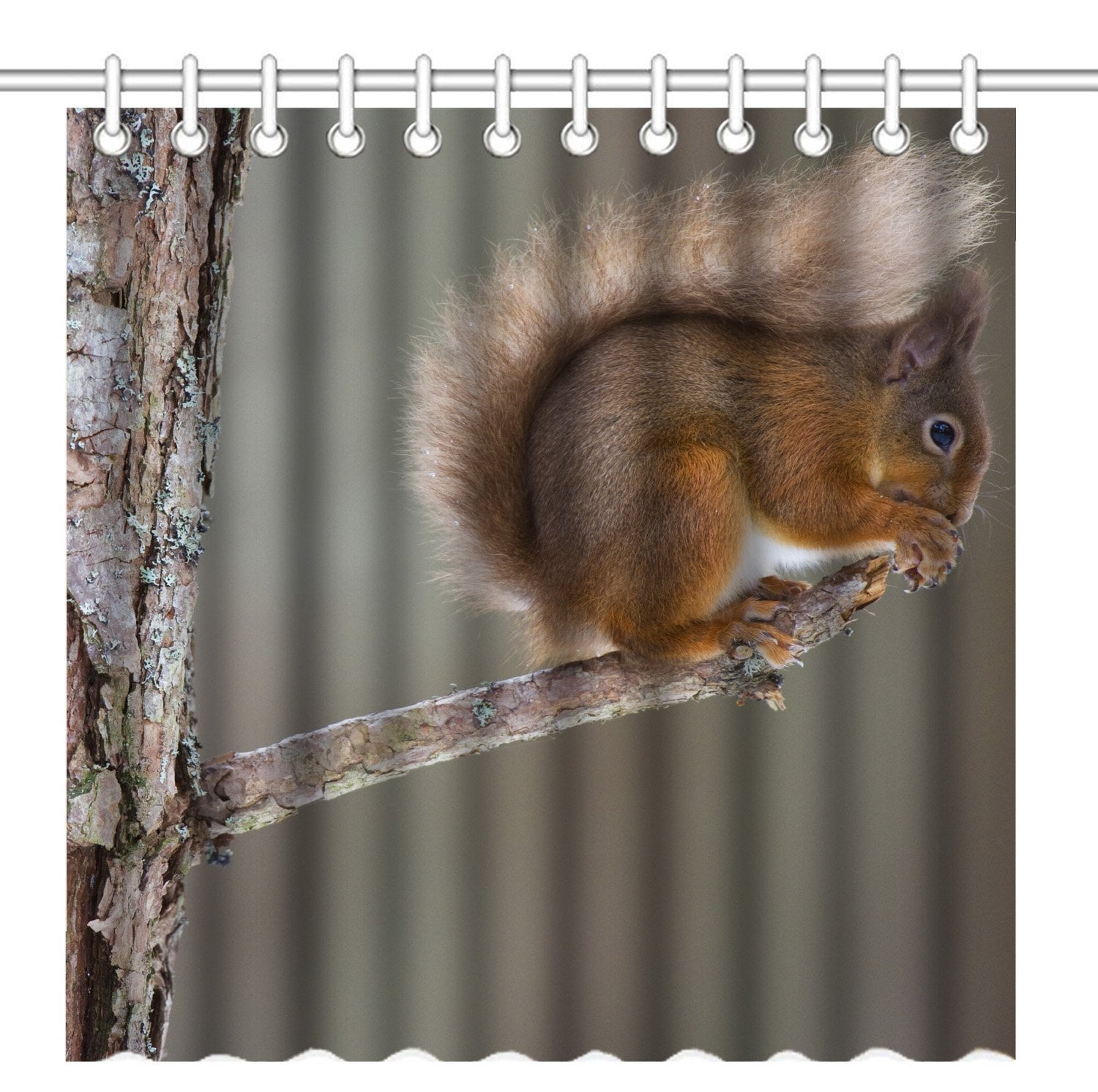 Wooden Hole American Red Squirrel Shower Curtain Set Bathroom Waterpoof Fabric Wooden Hole American Red Squirrel Shower Curtain Set Bathroom Waterpoof Fabric