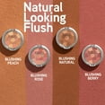 thumbnail image 3 of xianlin-Powder Palette Blush, Blushing Peach, 0.17 Ounce, 3 of 4