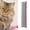 Purple, variant on Nieyigj Professional Pet Hair Removal Dematting Comb for Cats and Dogs, Stainless Steel Deshedding Tool with Anti-Slip Handle, 6.3 in / 16 cm, Red