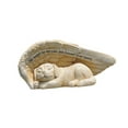 thumbnail image 2 of sweethay Ángel mascota adornos decoración perro ala dormir figurita escultura estatua bonita resina modelo manualidades escritorio jardín Decoración del hogar, 2 of 6