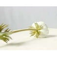 thumbnail image 4 of Chic Anemone Collection, Environmentally Friendly PU Silk Flowers for Wedding Bride Bouquet, 10Pcs, 4 of 5