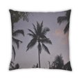 thumbnail image 2 of Ahgly Company Plants Palm Tree Outdoor Throw Pillow, 18 inch by 18 inch, 2 of 6