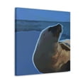 thumbnail image 2 of Sea Lion Pop Pop - Canvas, 2 of 10