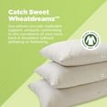 thumbnail image 3 of Kapok Bed Pillow Eco-Friendly Organic Cotton Fabric Luxurious Sleeping Pillows with Zipper, Made in USA - 14" X 20", 3 of 7