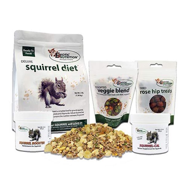 Exotic Nutrition Squirrel Food Starter Package