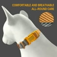thumbnail image 3 of CHBORLESS Lightweight Breathable Dog Collar Knitted Pet Puppy Collar, 3 of 5