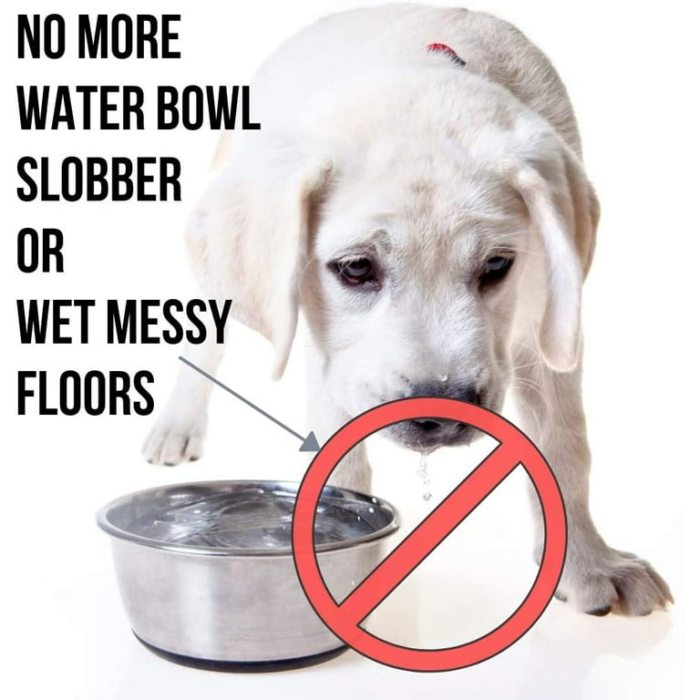  STP Empire Dog Water Bowl for Messy Drinkers 30oz & Dog Slow  Feeder Bowl - Dog Water Bowl No Spill - No Drip Dog Water Bowl - No Splash  Dog