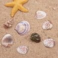 thumbnail image 4 of Caja de Aproximadamente 50 Piezas BLESIY variados marinas Con Orificios para joyas, 4 of 8