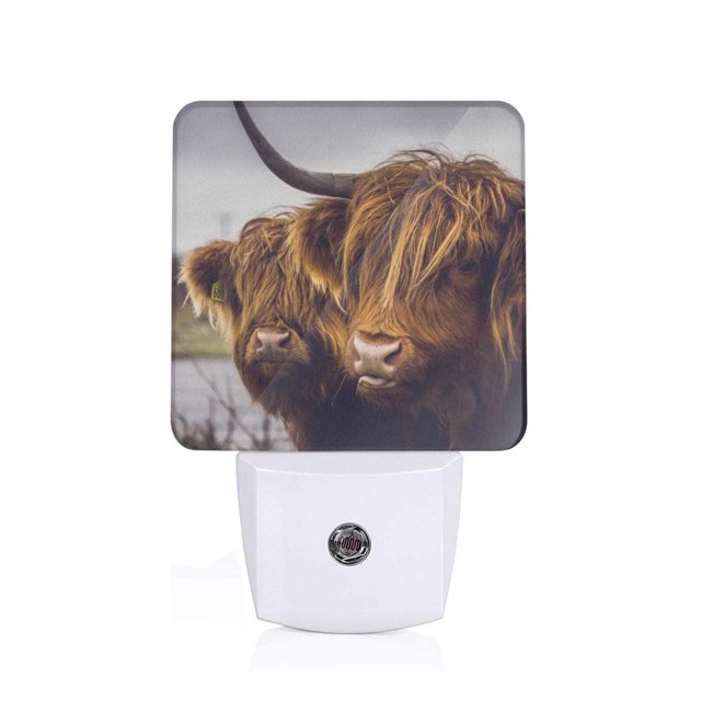 Balery Portrait Of Cow With Its Baby Cow Luz Nocturna LED con Sensor Automático, Enchufe con Sensor Crepuscular, Luz Suave de 0.5W para Dormitorio, Pasillo, Baño-US