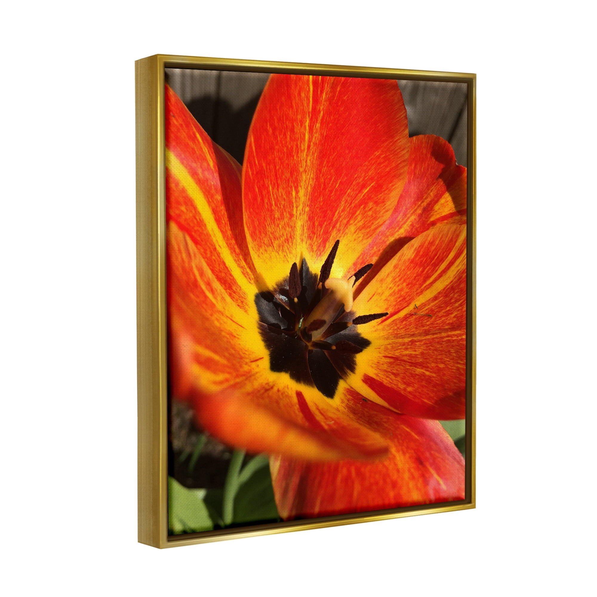 Stupell Industries Bold Red Poppy Flower Blossom Petals Photograph Metallic Gold Floating Framed Canvas Print Wall Art, Design by Heidi Bannon