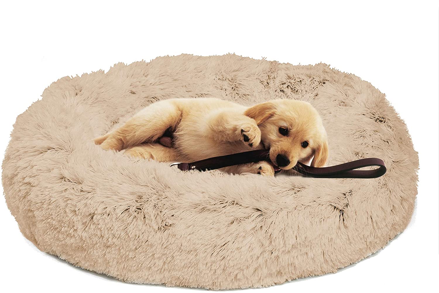 cheap dog beds medium