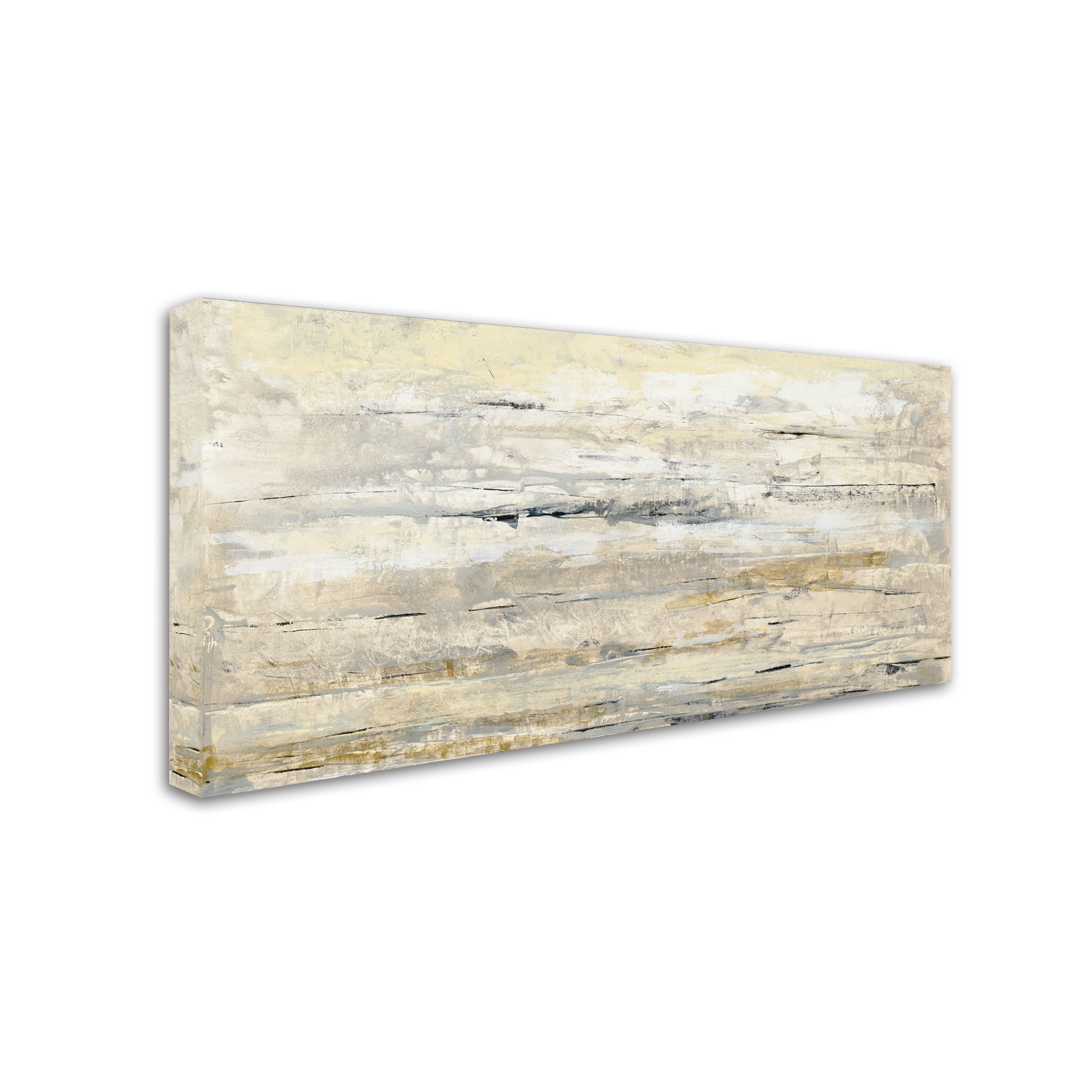 Trademark Fine Art 'Soft Glow Crop' Canvas Art by Silvia Vassileva