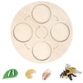 thumbnail image 1 of Simulation Insect Plastic Animal Early Growth Model Animal Preschool Model Miniature Educational Props Cognition Toy for Children Type 10, 1 of 9