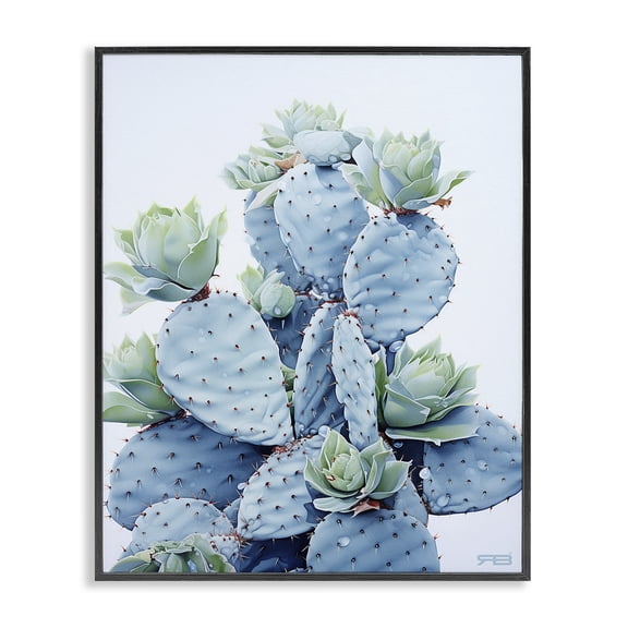 Stupell Industries Modern Blooming Succulents & Cactus Black Framed Giclee Art, 11 x 14, by RB