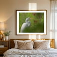 thumbnail image 3 of Great White Egret - Photography Bird Wildlife Nature Animal Scenic Woods Botanical Oak Framed Wall Art Print 16 x 20 inches, 3 of 5