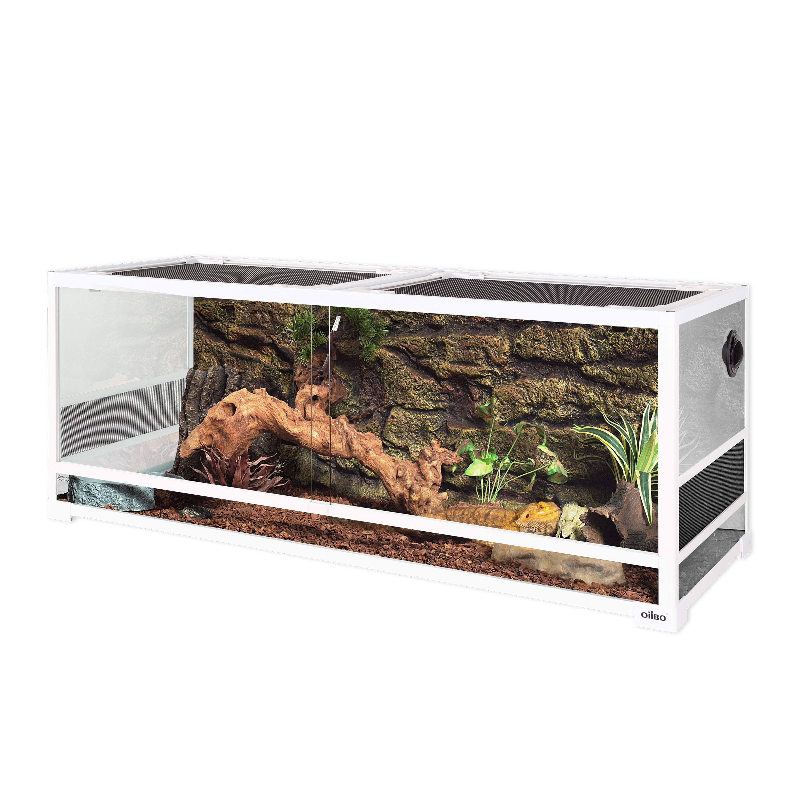 OiiBO Reptile Glass Terrarium, Sliding Doors with Screen Ventilation ...