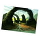 thumbnail image 5 of Etiqueta Engomada Adhesiva Cara Del Fondo Del de Del Acuario Del Impermeable - 122x61cm Colco Etiqueta engomada del fondo del tanque de peces, 5 of 8