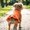Orange-WLL-30cm, variant on Sleeveless Pet Dress Summer Breathable Lightweight Cat Dog Apparel for Outdoor Walking,Orange-30cm
