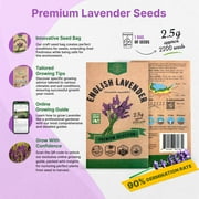 Organo Republic English Lavender Seeds 2.5 g – 2,200 Non‑GMO Heirloom Lavender Seeds – Indoor and Outdoor Herb Seed Packet for Home Garden, Aromatherapy & Pollinator Planting