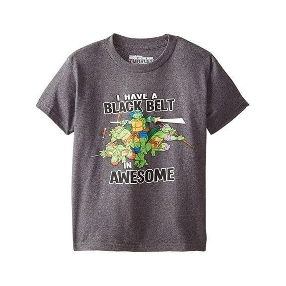 Teenage Mutant Ninja Turtles Boys' Blackbelt in Awesome Tee