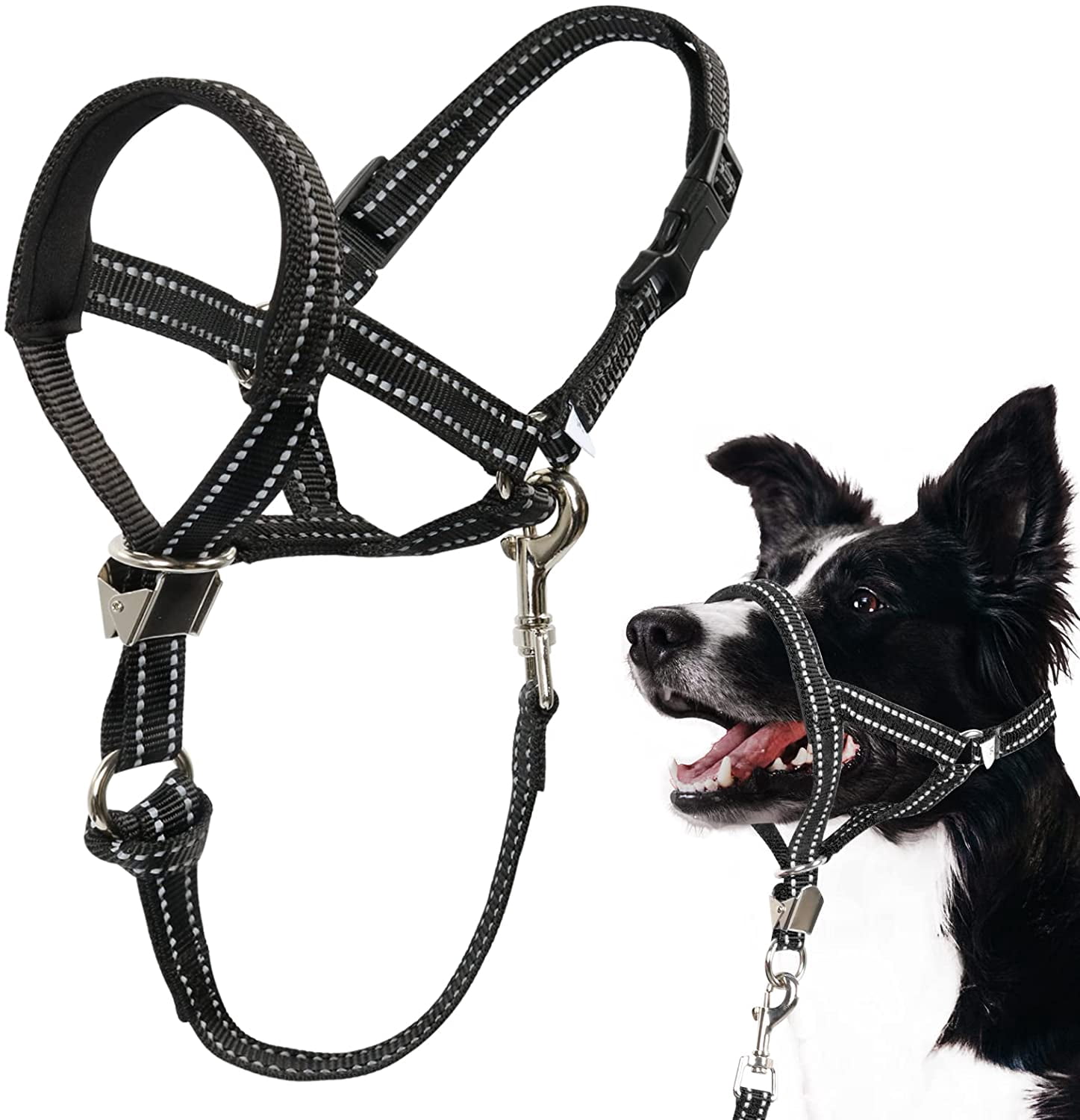 head halter for aggressive dogs