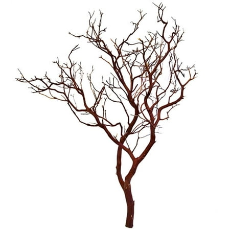 - Natural Manzanita Branch, 30