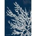 thumbnail image 2 of Loreth, Lanie 15x18 Gold Ornate Wood Framed with Double Matting Museum Art Print Titled - Coastal Coral I, 2 of 4