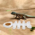 thumbnail image 4 of unbranded Bowl Para Alimentación De Reptiles Y Anfibios Accesorios Para Terrarios Pequeños, 4 of 8
