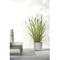 thumbnail image 3 of Ecopots Oslo 9.8" x 8.5" Round White Gray Plastic Modern Flower Plant Pot, 3 of 4