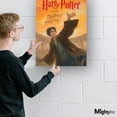 thumbnail image 6 of MightyPrint Harry Potter 'Book Cover - Deathly Hallows' Graphic Art Print MP17240258, 6 of 6