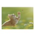 thumbnail image 1 of Cat Cutting Board, Animal Theme Cat Hunting a Ladybug Nature Grass Dandelions Digital Print, Decorative Tempered Glass Cutting and Serving Board, Large Size, Earth Yellow Pale Green, by Ambesonne, 1 of 1