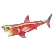 Discovery: Build the Shark (Hardcover)