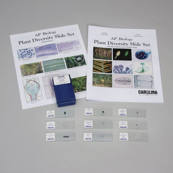 Plant Diversity Microscope Slide Student Set For Ap Biology
