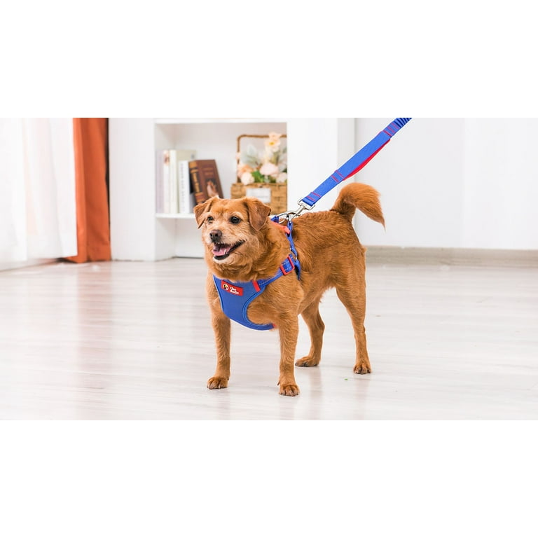 The Dodo Adjustable Blue Mesh Harness Small Walmart