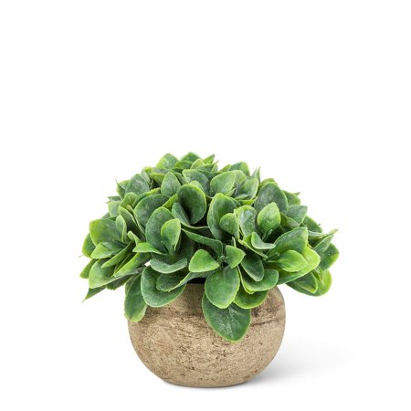 Set of 6 Small Spade Leaf Plant Pot