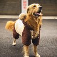 thumbnail image 3 of nipocaio Chandail en Molleton Lavable pour Chien 3TG Tee Flanelle Extra Large, 3 of 5