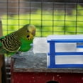 thumbnail image 4 of Shisuyan Plastic Parrot Toy Drawer Random Color 1Pack 4.91x3.34x2.95in, 4 of 8