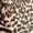 Brown2, variant on BUWTTER Women's Pants Casual Everyday Trousers with All Over Print Fashionable Comfortable Elastic Waist Soft Womens Slacks Brown1 L