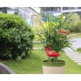 thumbnail image 4 of Indoor Soil Moisture Meter Watering Alarm Plant Water Tester Hygrometer Sensor Gardening Tool Kit for Planter Water Remind Warining Alert Content, Bird Red, 4 of 4