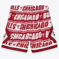 thumbnail image 2 of Men's Mitchell & Ness  Red Chicago Bulls 1996/97 Hardwood Classics Teamwrap Swingman Shorts, 2 of 3