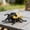 10Pack-QA769, variant on 10 Pack Realistic Interactive Insect Toy Collection For Educational Play Indoor Outdoor Use