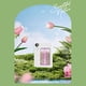 thumbnail image 4 of Difusores de velocidad para el hogar, máquina de aroma comercial, difusor de aceites esenciales con capacidad de 50 ml, sin agua, para el hogar, tiendas, hoteles, habitaciones grandes, oficinas,, 4 of 8